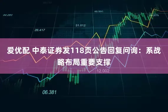 爱优配 中泰证券发118页公告回复问询：系战略布局重要支撑
